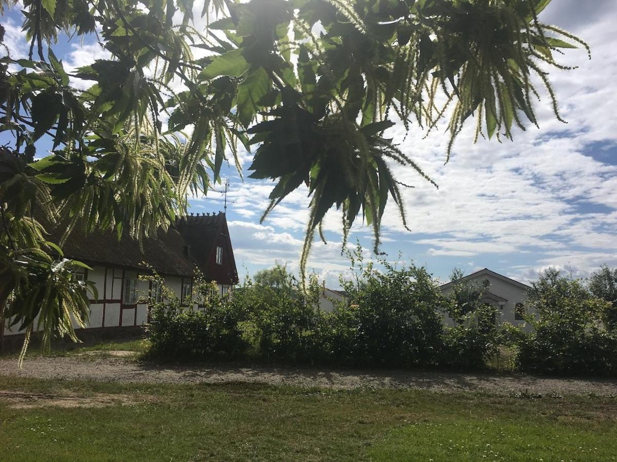 Kastanjegarden Pa Stenshuvud Kivik Buitenkant foto