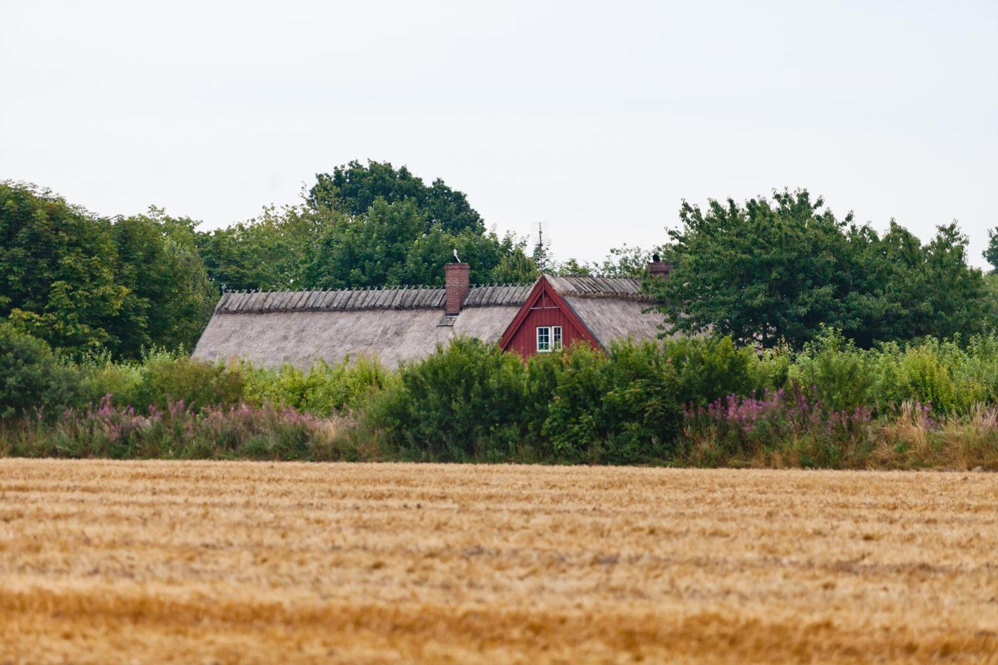 Kastanjegarden Pa Stenshuvud Kivik Buitenkant foto