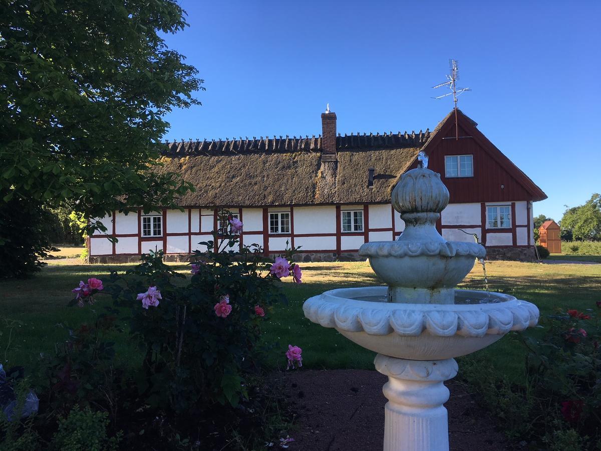 Kastanjegarden Pa Stenshuvud Kivik Buitenkant foto