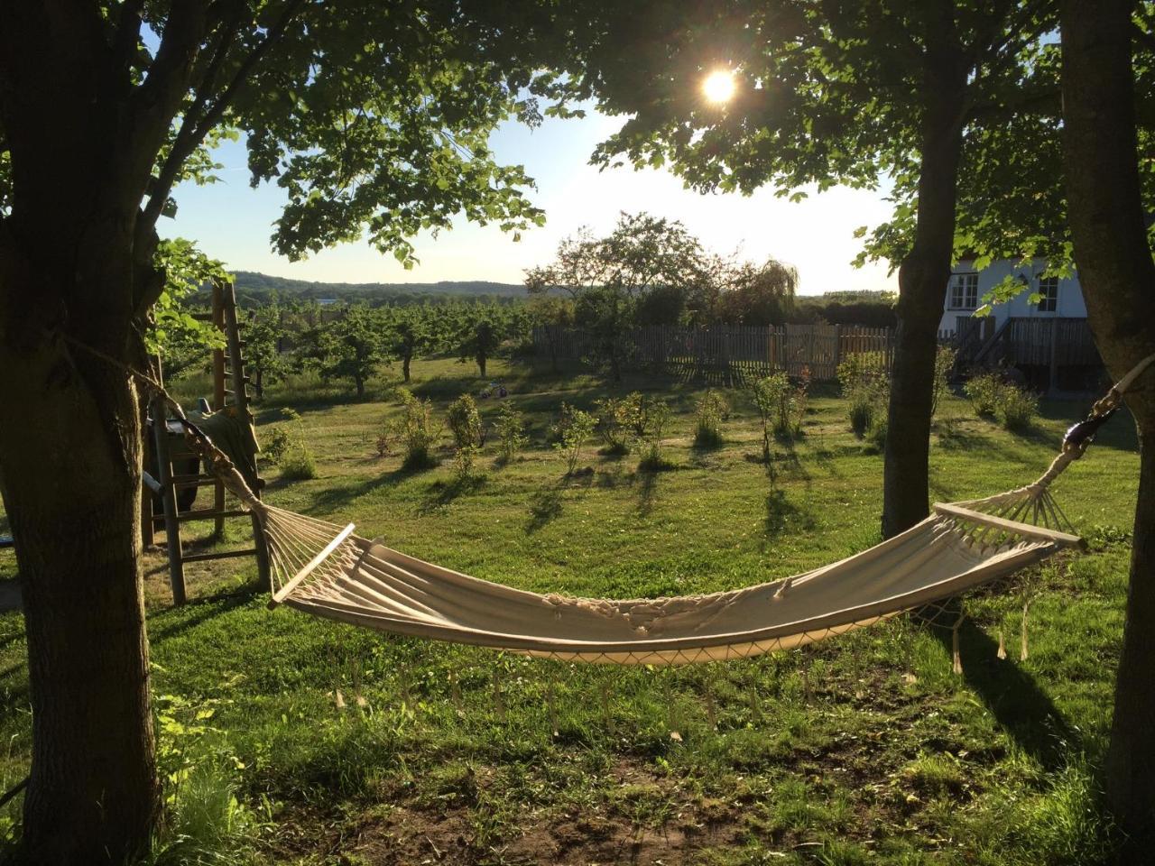 Kastanjegarden Pa Stenshuvud Kivik Buitenkant foto
